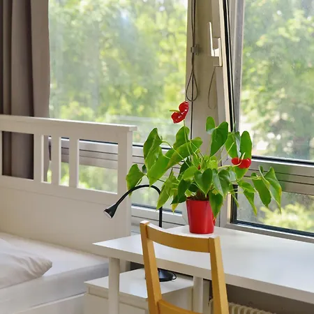 Junges Wohnen Am Museumsufer Im 2 Stock Hostal